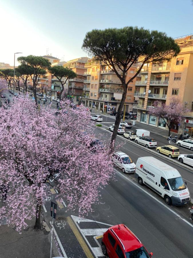 Domum Vaticani Roma Eksteriør bilde